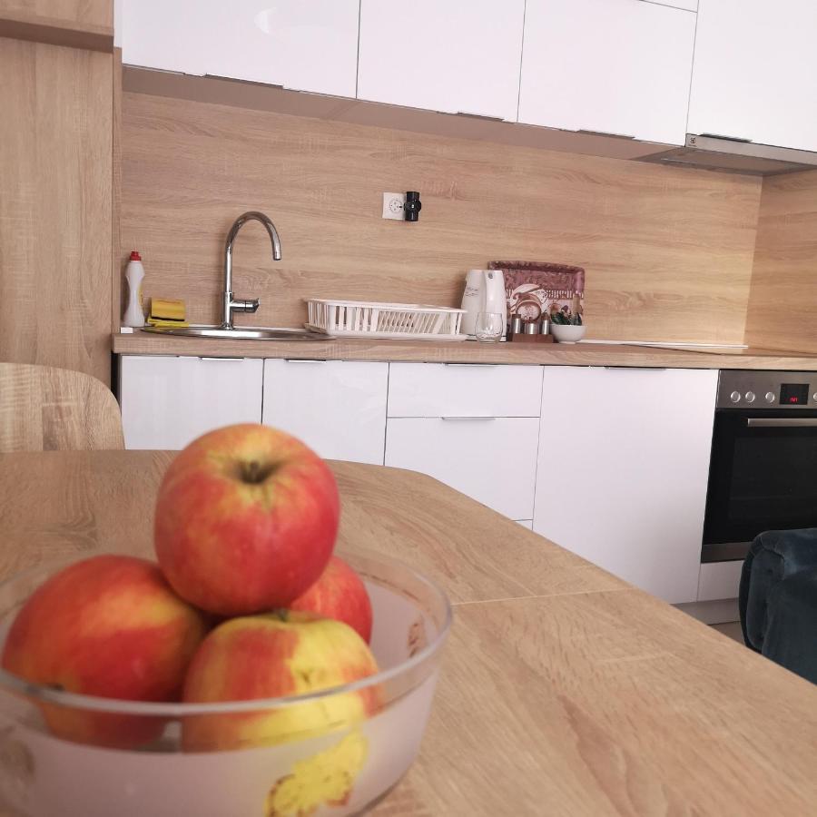 Family Apartment With Garden Σαράγεβο Εξωτερικό φωτογραφία