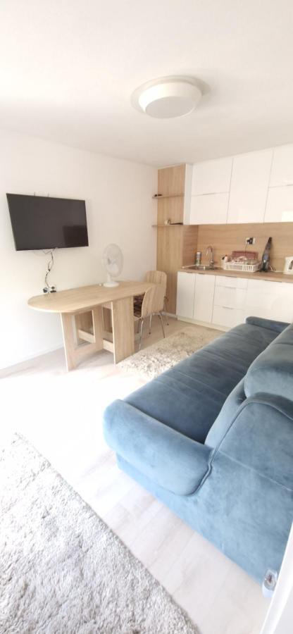 Family Apartment With Garden Σαράγεβο Εξωτερικό φωτογραφία