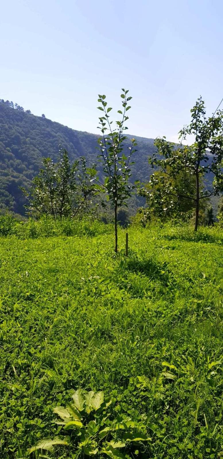 Family Apartment With Garden Σαράγεβο Εξωτερικό φωτογραφία