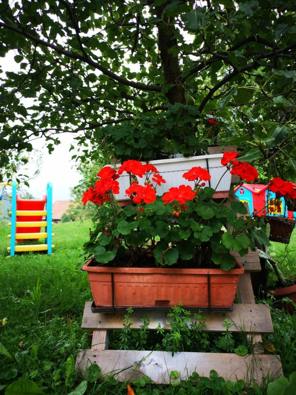 Family Apartment With Garden Σαράγεβο Εξωτερικό φωτογραφία