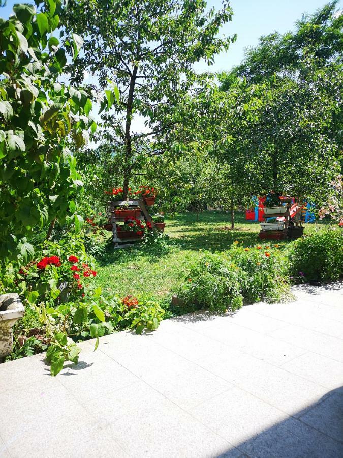 Family Apartment With Garden Σαράγεβο Εξωτερικό φωτογραφία